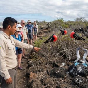 Day Tour Seymour Norte