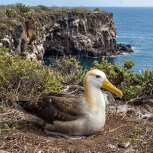 Ful Day Isla Española