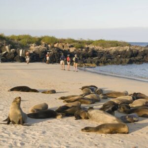 Viaje por Santa Cruz